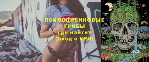 шишки Бронницы