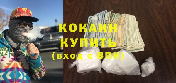 шишки Бронницы