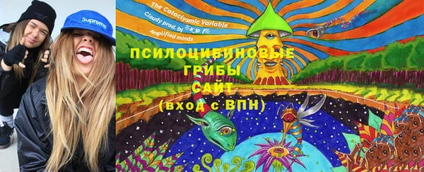 гидра Россошь